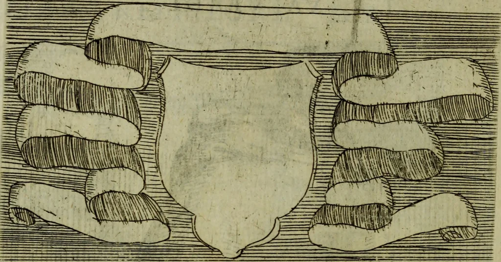 An illustration from Briefve histoire de l'institution des ordres religieux : avec les figures de leurs habits, 1680, leaf 77