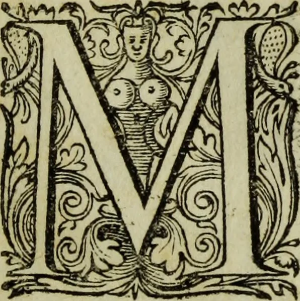 An illustration from Briefve histoire de l'institution des ordres religieux : avec les figures de leurs habits, 1680, leaf 8