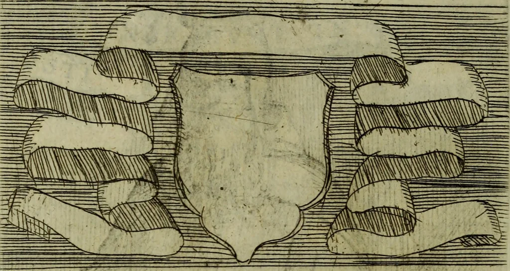An illustration from Briefve histoire de l'institution des ordres religieux : avec les figures de leurs habits, 1680, leaf 95