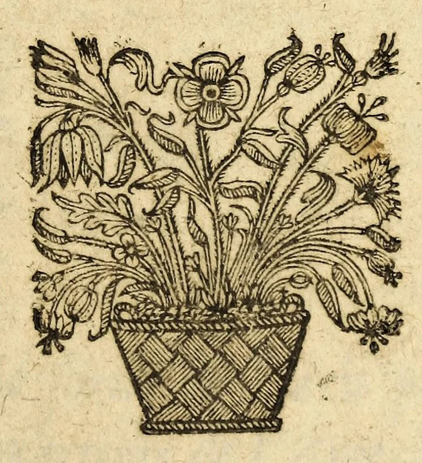 An illustration from Brieue relation du voyage des isles de l'Amerique., 1646, leaf 7