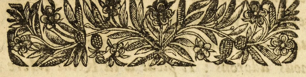 An illustration from Brieue relation du voyage des isles de l'Amerique., 1646, leaf 9
