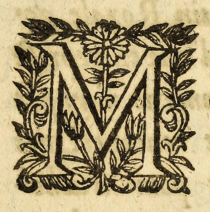 An illustration from Brieue relation du voyage des isles de l'Amerique., 1646, leaf 9