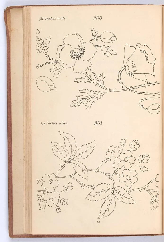 An illustration from Briggs & Co.'s patent transferring papers : protected by Her Most Gracious Majesty's Royal Letters Patent ; a warm iron passed over the backs of these papers transfers the pattern to any fabric, 1883, leaf 43