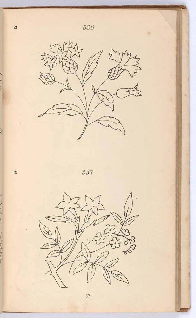 An illustration from Briggs & Co.'s patent transferring papers : protected by Her Most Gracious Majesty's Royal Letters Patent ; a warm iron passed over the backs of these papers transfers the pattern to any fabric, 1883, leaf 66