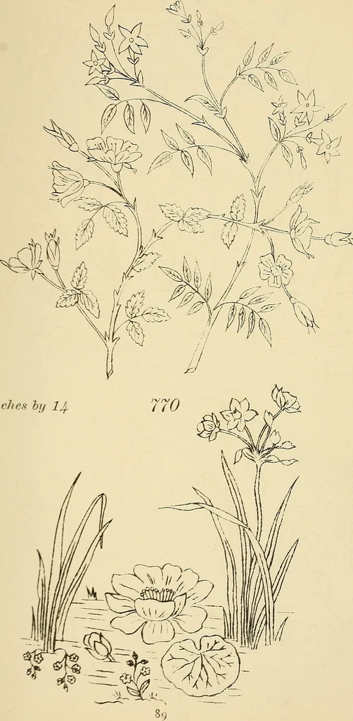 An illustration from Briggs & Co.'s patent transferring papers : protected by Her Most Gracious Majesty's royal letters patent, 1880, leaf 100