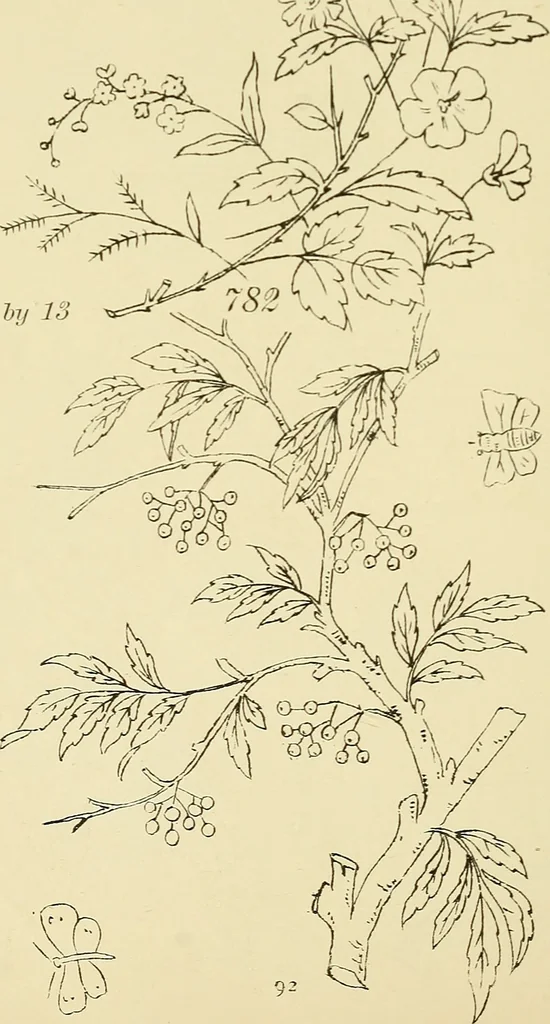 An illustration from Briggs & Co.'s patent transferring papers : protected by Her Most Gracious Majesty's royal letters patent, 1880, leaf 103