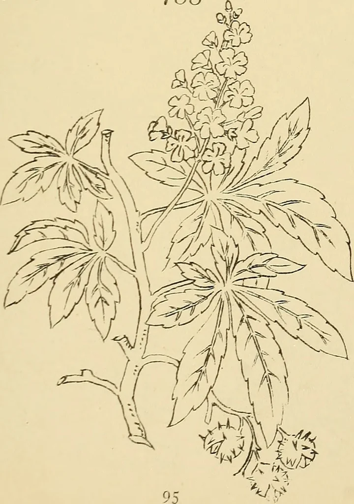 An illustration from Briggs & Co.'s patent transferring papers : protected by Her Most Gracious Majesty's royal letters patent, 1880, leaf 106