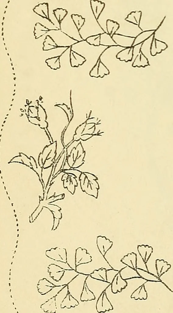 An illustration from Briggs & Co.'s patent transferring papers : protected by Her Most Gracious Majesty's royal letters patent, 1880, leaf 123