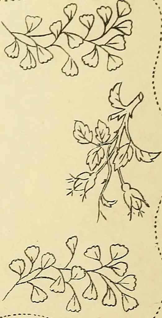 An illustration from Briggs & Co.'s patent transferring papers : protected by Her Most Gracious Majesty's royal letters patent, 1880, leaf 123