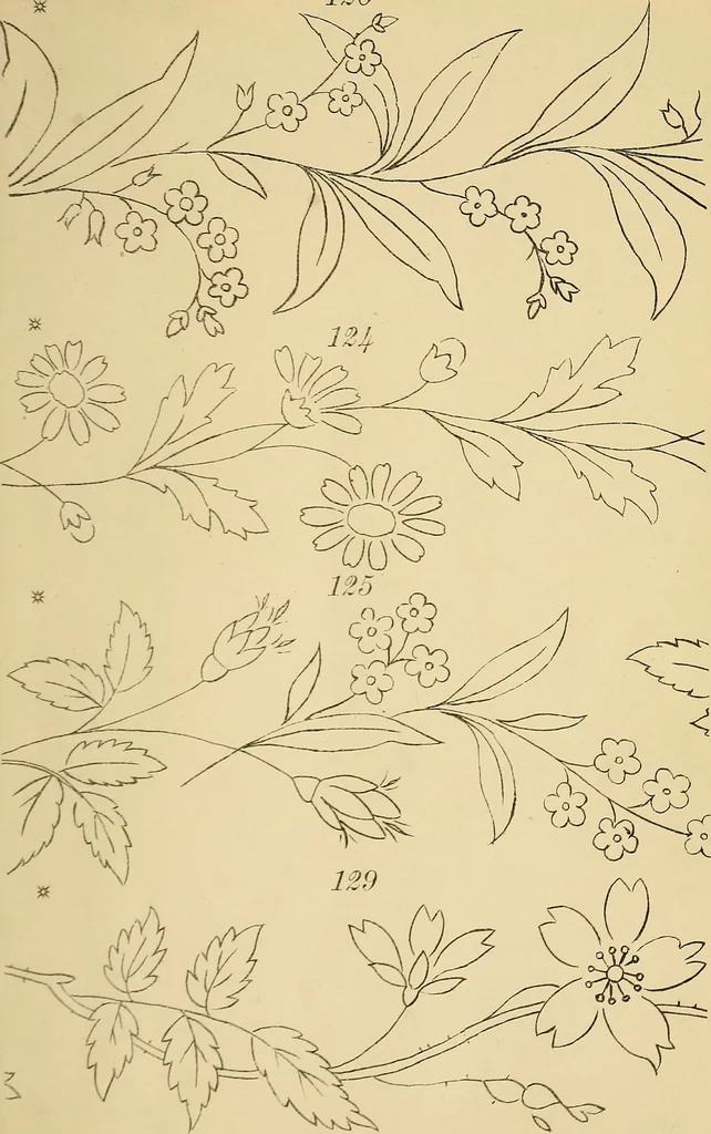 An illustration from Briggs & Co.'s patent transferring papers : protected by Her Most Gracious Majesty's royal letters patent, 1880, leaf 20