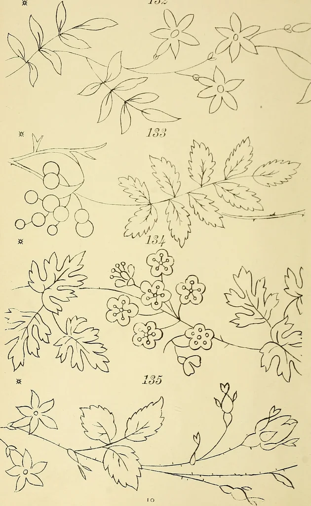 An illustration from Briggs & Co.'s patent transferring papers : protected by Her Most Gracious Majesty's royal letters patent, 1880, leaf 21