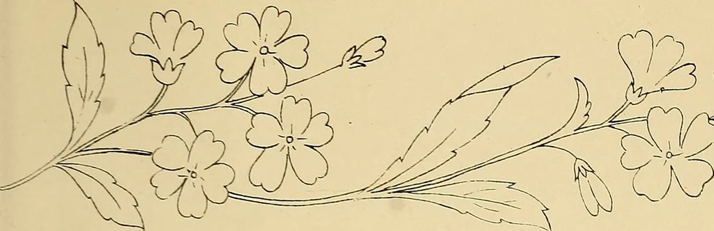 An illustration from Briggs & Co.'s patent transferring papers : protected by Her Most Gracious Majesty's royal letters patent, 1880, leaf 24