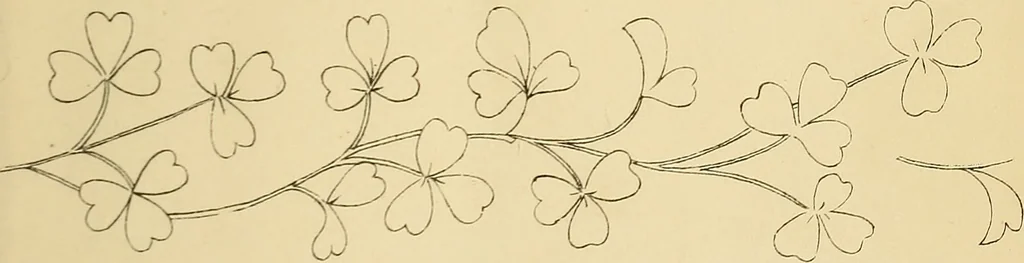 An illustration from Briggs & Co.'s patent transferring papers : protected by Her Most Gracious Majesty's royal letters patent, 1880, leaf 24