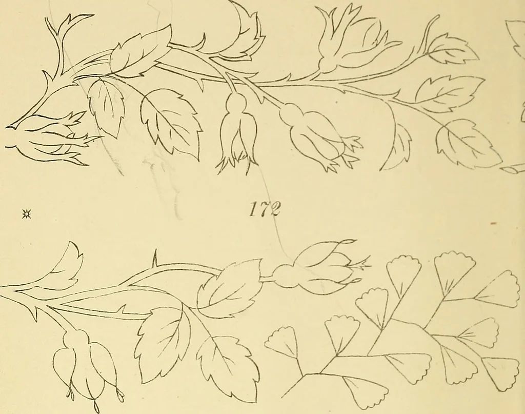 An illustration from Briggs & Co.'s patent transferring papers : protected by Her Most Gracious Majesty's royal letters patent, 1880, leaf 27
