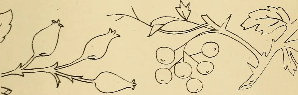 An illustration from Briggs & Co.'s patent transferring papers : protected by Her Most Gracious Majesty's royal letters patent, 1880, leaf 28