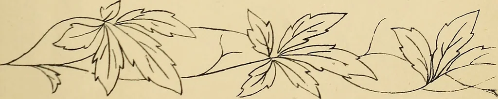 An illustration from Briggs & Co.'s patent transferring papers : protected by Her Most Gracious Majesty's royal letters patent, 1880, leaf 28