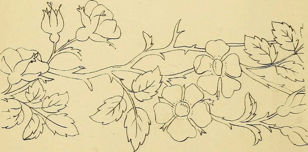 An illustration from Briggs & Co.'s patent transferring papers : protected by Her Most Gracious Majesty's royal letters patent, 1880, leaf 33