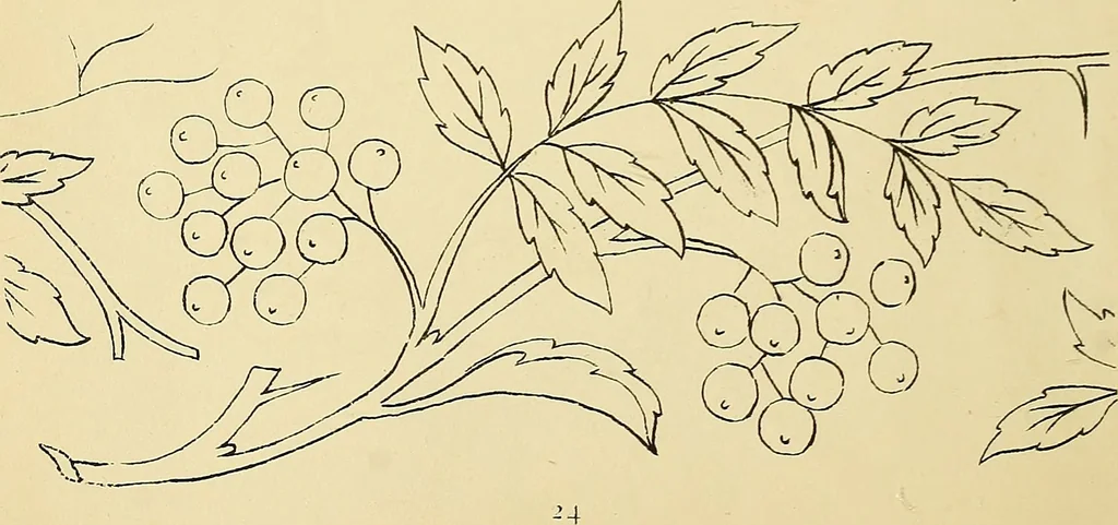 An illustration from Briggs & Co.'s patent transferring papers : protected by Her Most Gracious Majesty's royal letters patent, 1880, leaf 35