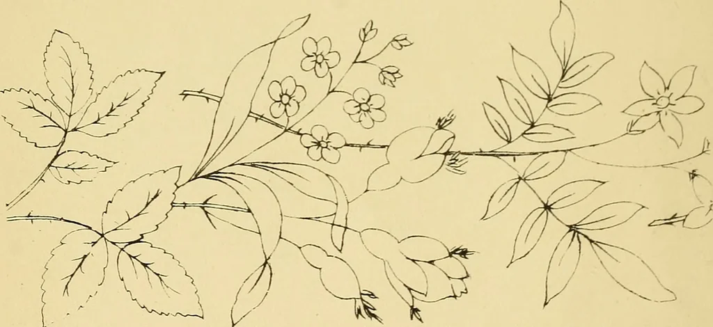 An illustration from Briggs & Co.'s patent transferring papers : protected by Her Most Gracious Majesty's royal letters patent, 1880, leaf 37