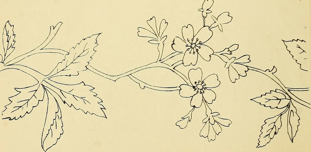 An illustration from Briggs & Co.'s patent transferring papers : protected by Her Most Gracious Majesty's royal letters patent, 1880, leaf 39