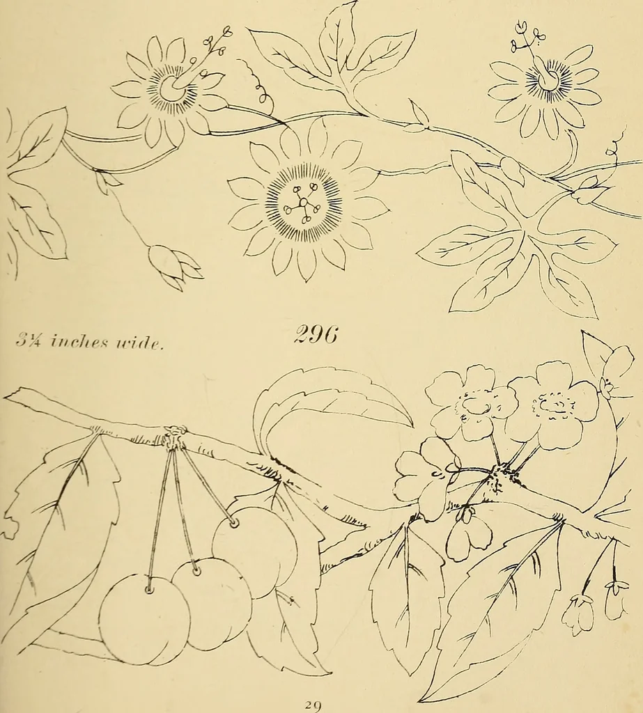 An illustration from Briggs & Co.'s patent transferring papers : protected by Her Most Gracious Majesty's royal letters patent, 1880, leaf 40