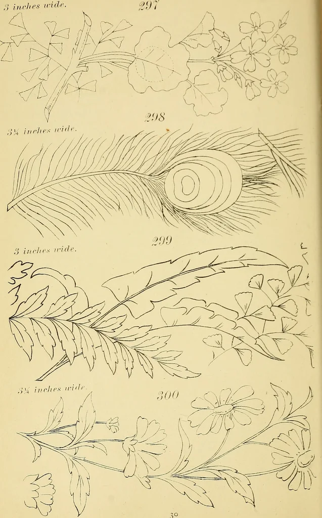 An illustration from Briggs & Co.'s patent transferring papers : protected by Her Most Gracious Majesty's royal letters patent, 1880, leaf 41