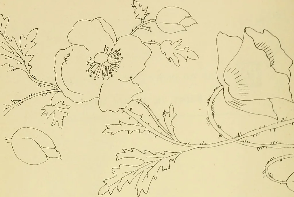 An illustration from Briggs & Co.'s patent transferring papers : protected by Her Most Gracious Majesty's royal letters patent, 1880, leaf 45