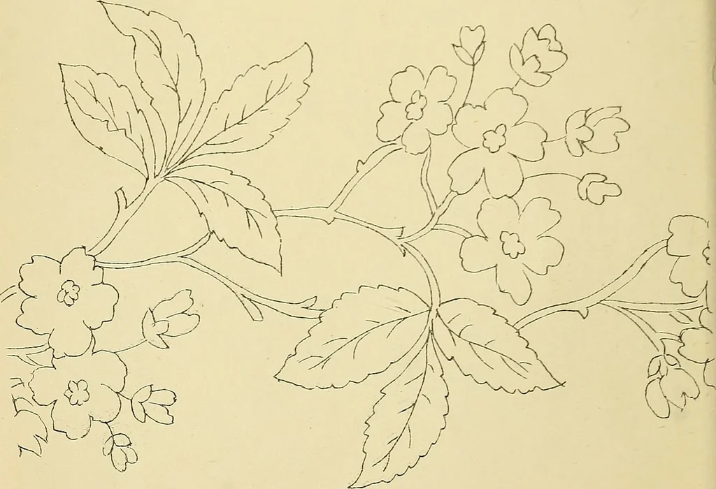 An illustration from Briggs & Co.'s patent transferring papers : protected by Her Most Gracious Majesty's royal letters patent, 1880, leaf 45