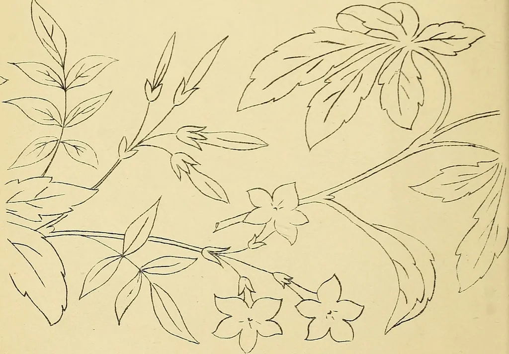 An illustration from Briggs & Co.'s patent transferring papers : protected by Her Most Gracious Majesty's royal letters patent, 1880, leaf 47