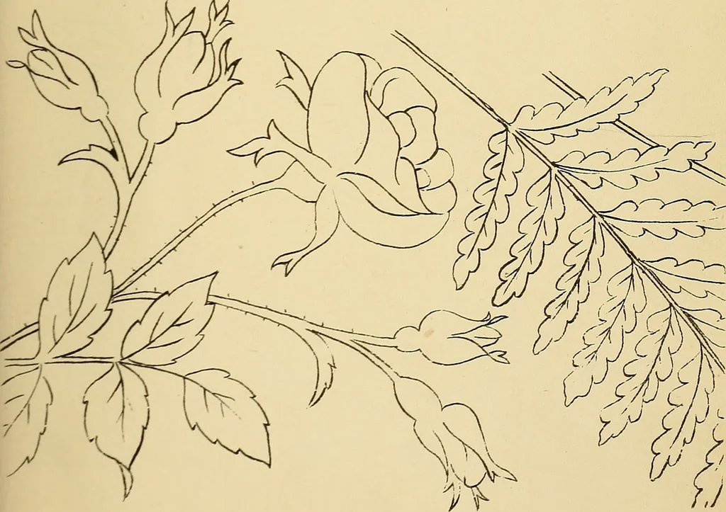 An illustration from Briggs & Co.'s patent transferring papers : protected by Her Most Gracious Majesty's royal letters patent, 1880, leaf 48