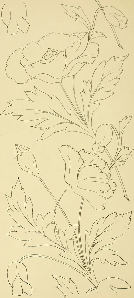An illustration from Briggs & Co.'s patent transferring papers : protected by Her Most Gracious Majesty's royal letters patent, 1880, leaf 57