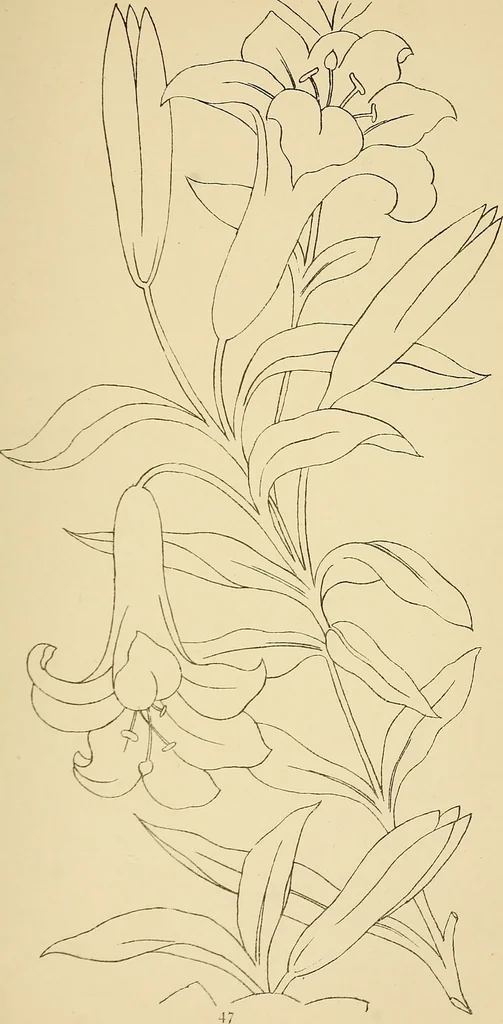 An illustration from Briggs & Co.'s patent transferring papers : protected by Her Most Gracious Majesty's royal letters patent, 1880, leaf 58