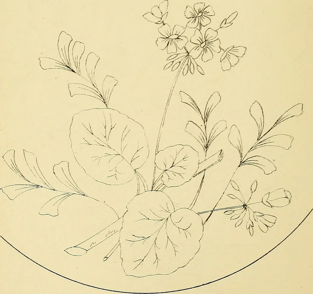 An illustration from Briggs & Co.'s patent transferring papers : protected by Her Most Gracious Majesty's royal letters patent, 1880, leaf 59