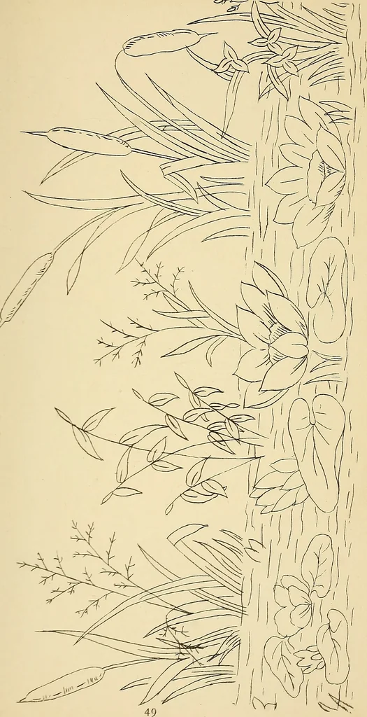 An illustration from Briggs & Co.'s patent transferring papers : protected by Her Most Gracious Majesty's royal letters patent, 1880, leaf 60