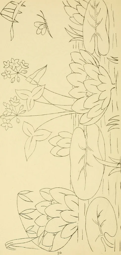 An illustration from Briggs & Co.'s patent transferring papers : protected by Her Most Gracious Majesty's royal letters patent, 1880, leaf 61
