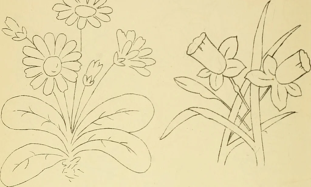 An illustration from Briggs & Co.'s patent transferring papers : protected by Her Most Gracious Majesty's royal letters patent, 1880, leaf 65