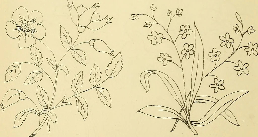 An illustration from Briggs & Co.'s patent transferring papers : protected by Her Most Gracious Majesty's royal letters patent, 1880, leaf 65