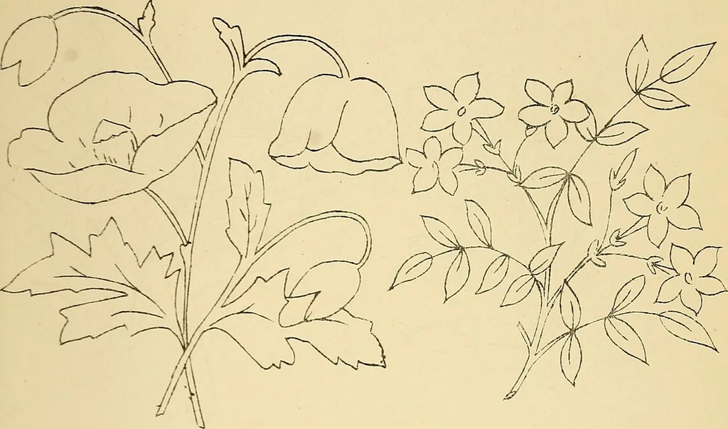 An illustration from Briggs & Co.'s patent transferring papers : protected by Her Most Gracious Majesty's royal letters patent, 1880, leaf 66
