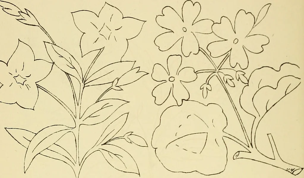 An illustration from Briggs & Co.'s patent transferring papers : protected by Her Most Gracious Majesty's royal letters patent, 1880, leaf 67