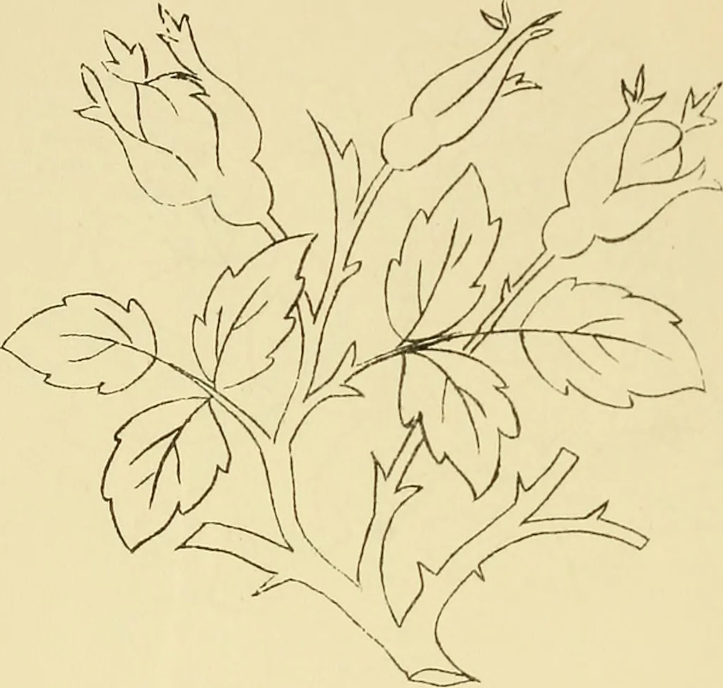 An illustration from Briggs & Co.'s patent transferring papers : protected by Her Most Gracious Majesty's royal letters patent, 1880, leaf 69