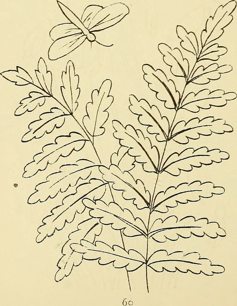 An illustration from Briggs & Co.'s patent transferring papers : protected by Her Most Gracious Majesty's royal letters patent, 1880, leaf 71