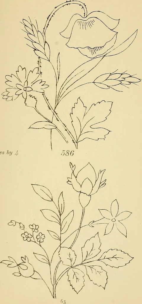 An illustration from Briggs & Co.'s patent transferring papers : protected by Her Most Gracious Majesty's royal letters patent, 1880, leaf 74