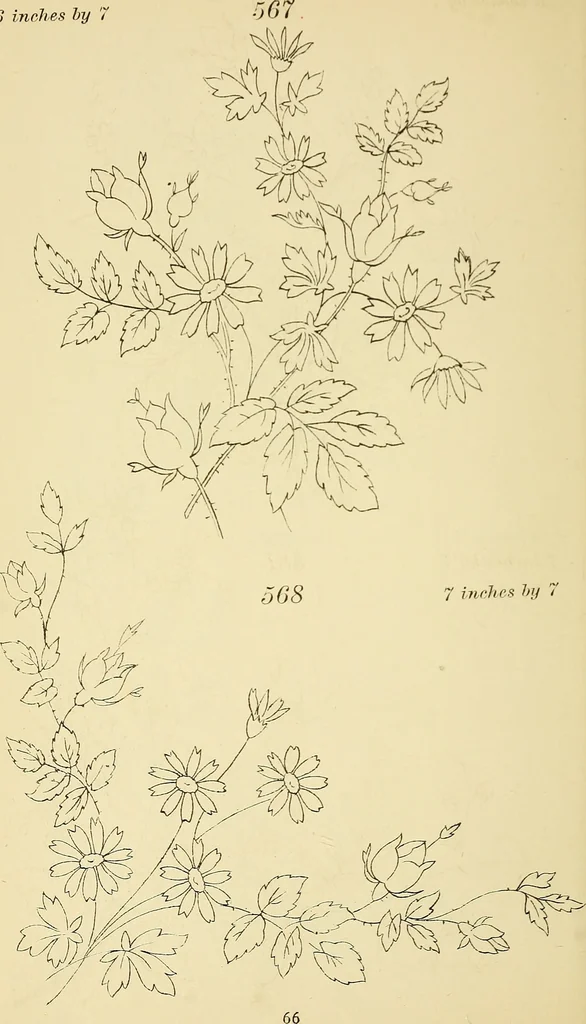 An illustration from Briggs & Co.'s patent transferring papers : protected by Her Most Gracious Majesty's royal letters patent, 1880, leaf 77
