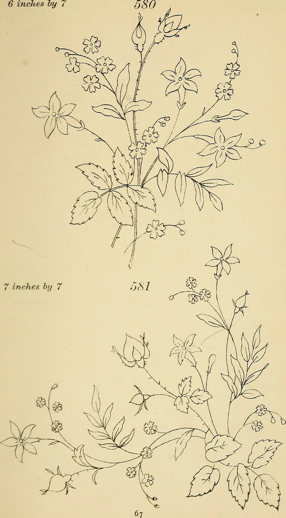 An illustration from Briggs & Co.'s patent transferring papers : protected by Her Most Gracious Majesty's royal letters patent, 1880, leaf 78