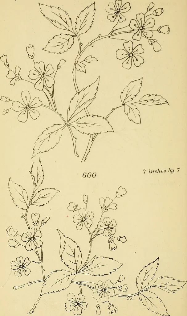 An illustration from Briggs & Co.'s patent transferring papers : protected by Her Most Gracious Majesty's royal letters patent, 1880, leaf 79