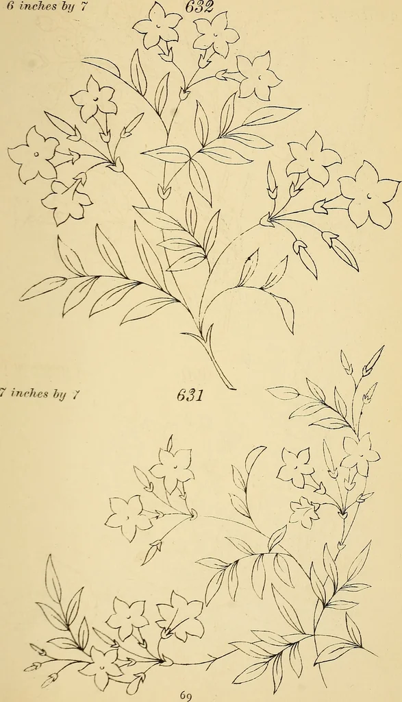 An illustration from Briggs & Co.'s patent transferring papers : protected by Her Most Gracious Majesty's royal letters patent, 1880, leaf 80