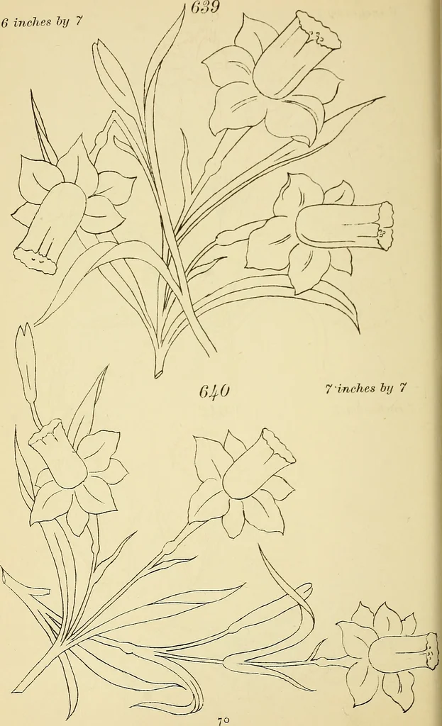 An illustration from Briggs & Co.'s patent transferring papers : protected by Her Most Gracious Majesty's royal letters patent, 1880, leaf 81