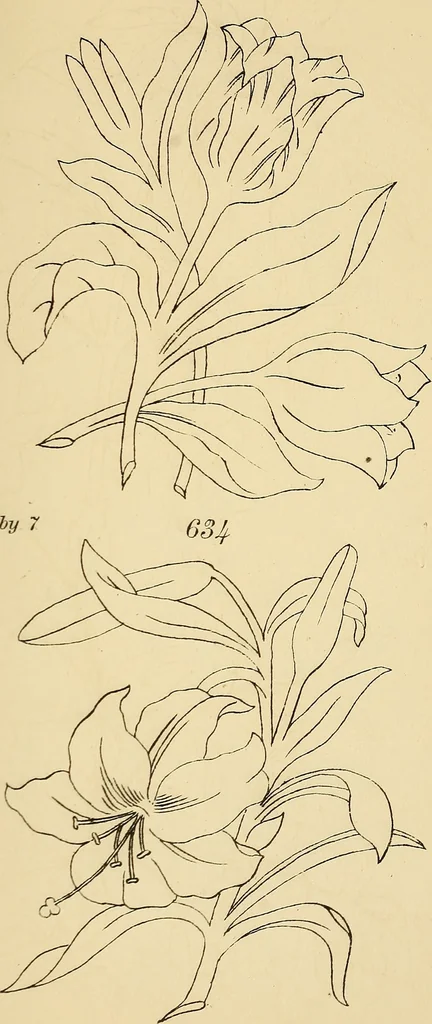 An illustration from Briggs & Co.'s patent transferring papers : protected by Her Most Gracious Majesty's royal letters patent, 1880, leaf 84