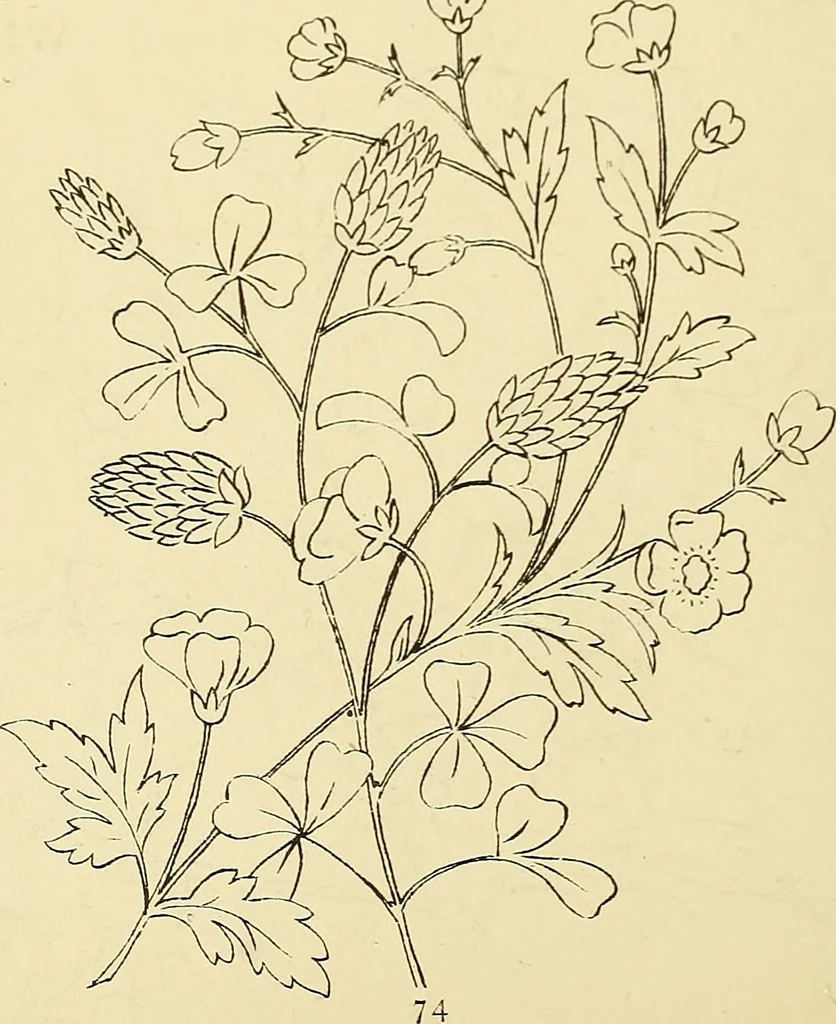 An illustration from Briggs & Co.'s patent transferring papers : protected by Her Most Gracious Majesty's royal letters patent, 1880, leaf 85