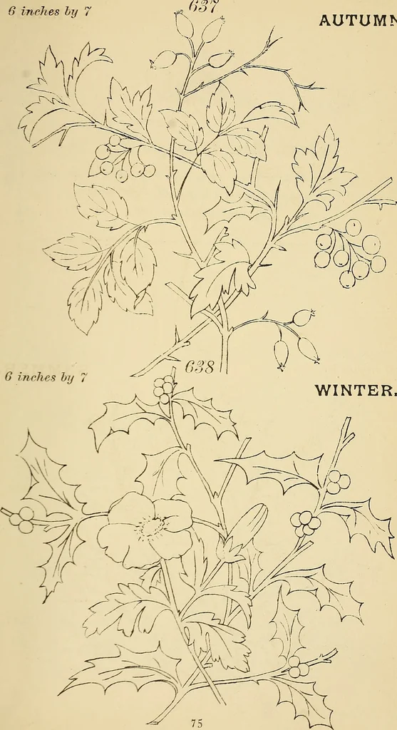 An illustration from Briggs & Co.'s patent transferring papers : protected by Her Most Gracious Majesty's royal letters patent, 1880, leaf 86